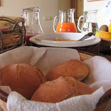 Bed & Breakfast Agon