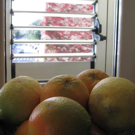 לינה וארוחת בוקר Agon