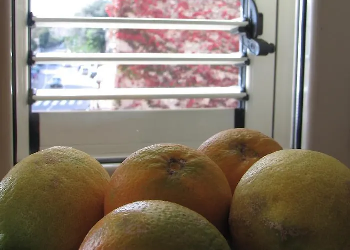 Bed & Breakfast Agon